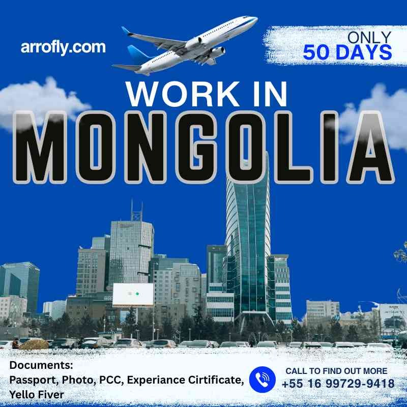 Factory Helper & Warehouse Assistant Jobs in Mongolia | Monthly Salary Up to $500 USD